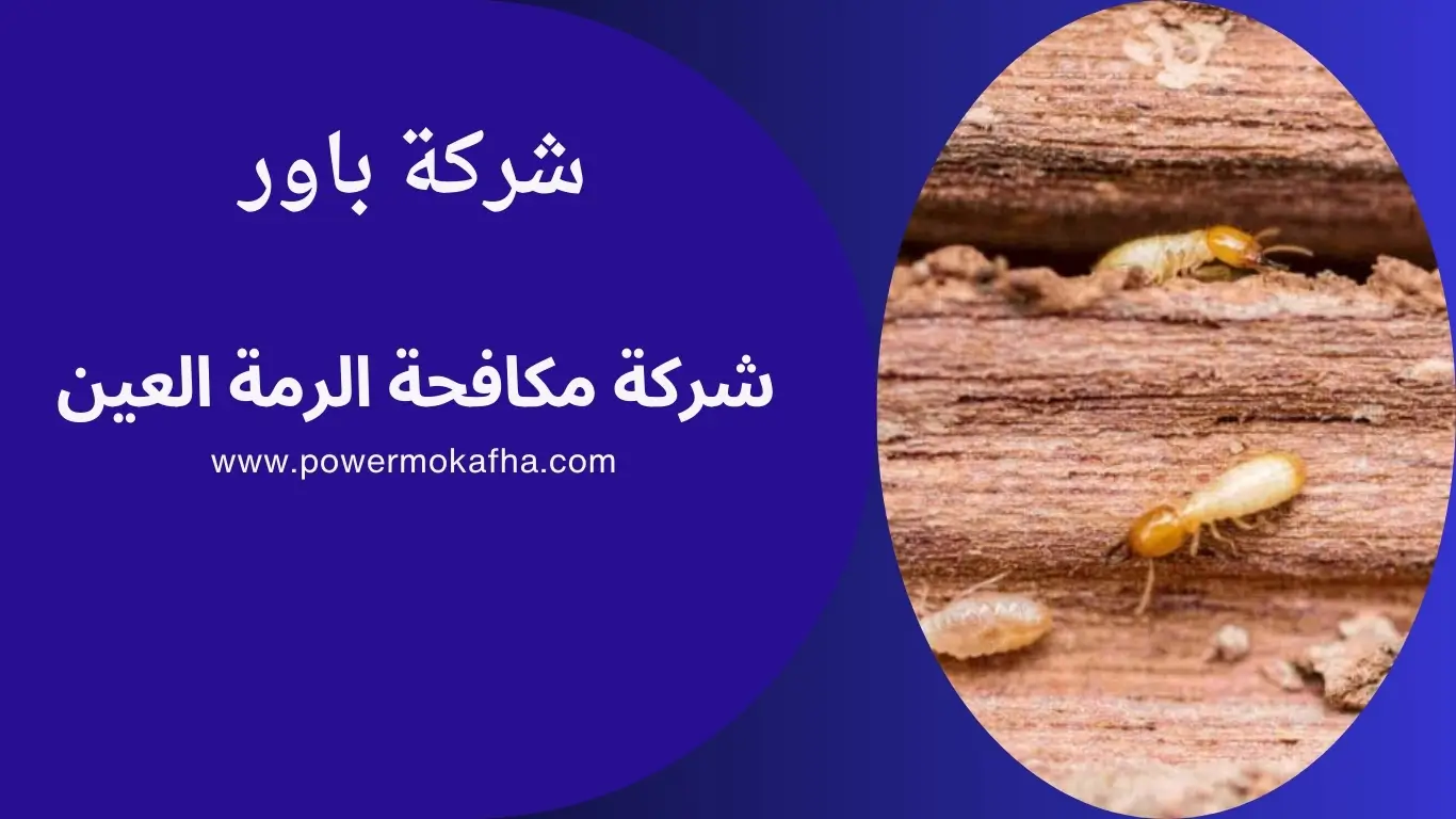 شركة مكافحة الرمة في العين
