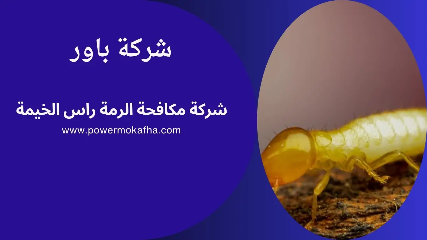 شركة مكافحة الرمة راس الخيمة