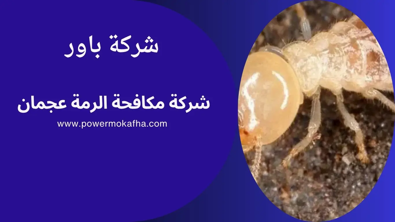 شركة مكافحة الرمة عجمان