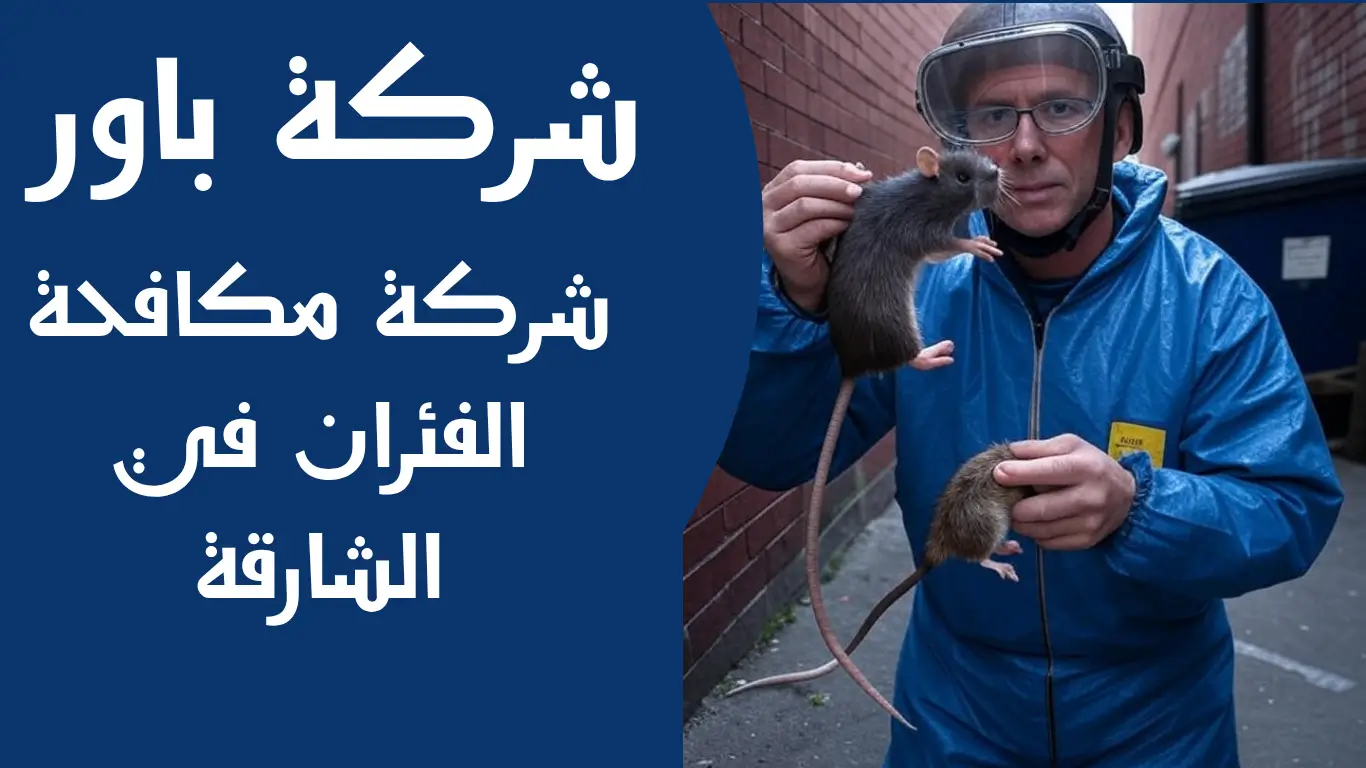 شركة مكافحة الفئران في الشارقة