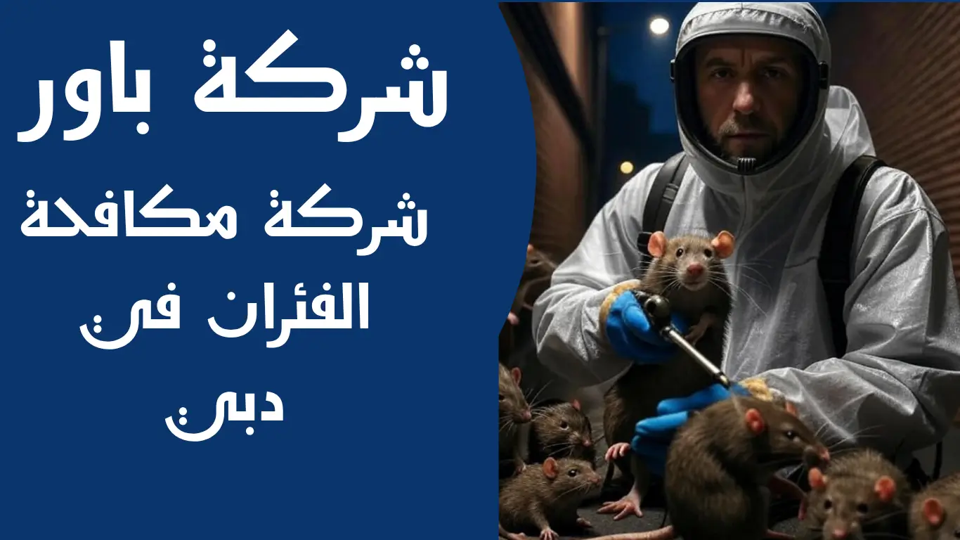 شركة مكافحة الفئران في دبي