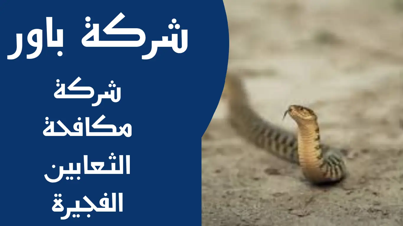 شركة مكافحة الثعابين الفجيرة