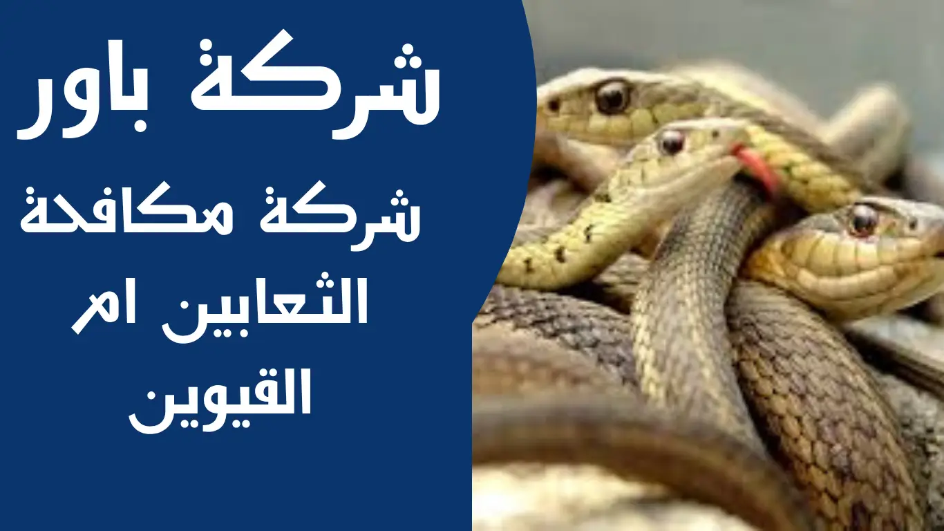 شركة مكافحة الثعابين ام القيوين