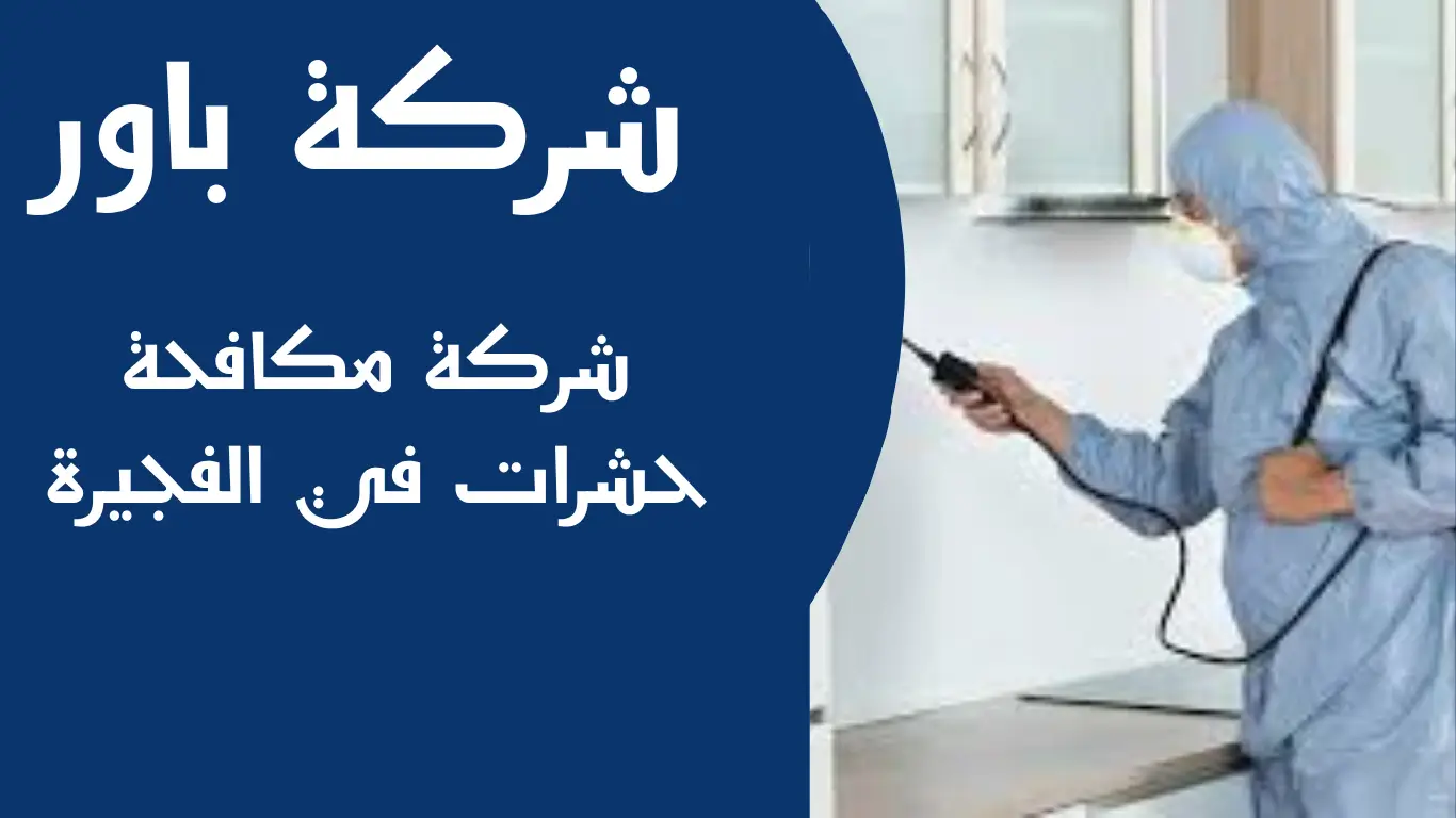 شركة مكافحة حشرات في الفجيرة