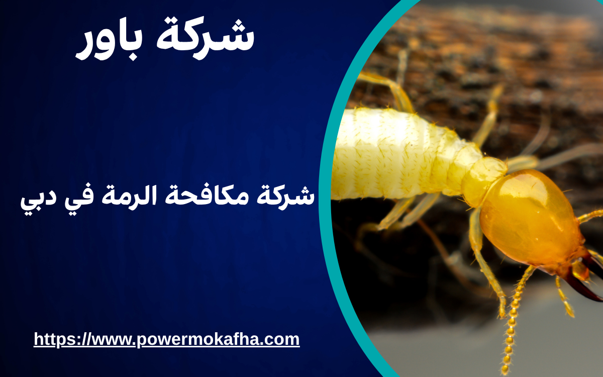 شركة مكافحة الرمة في دبي