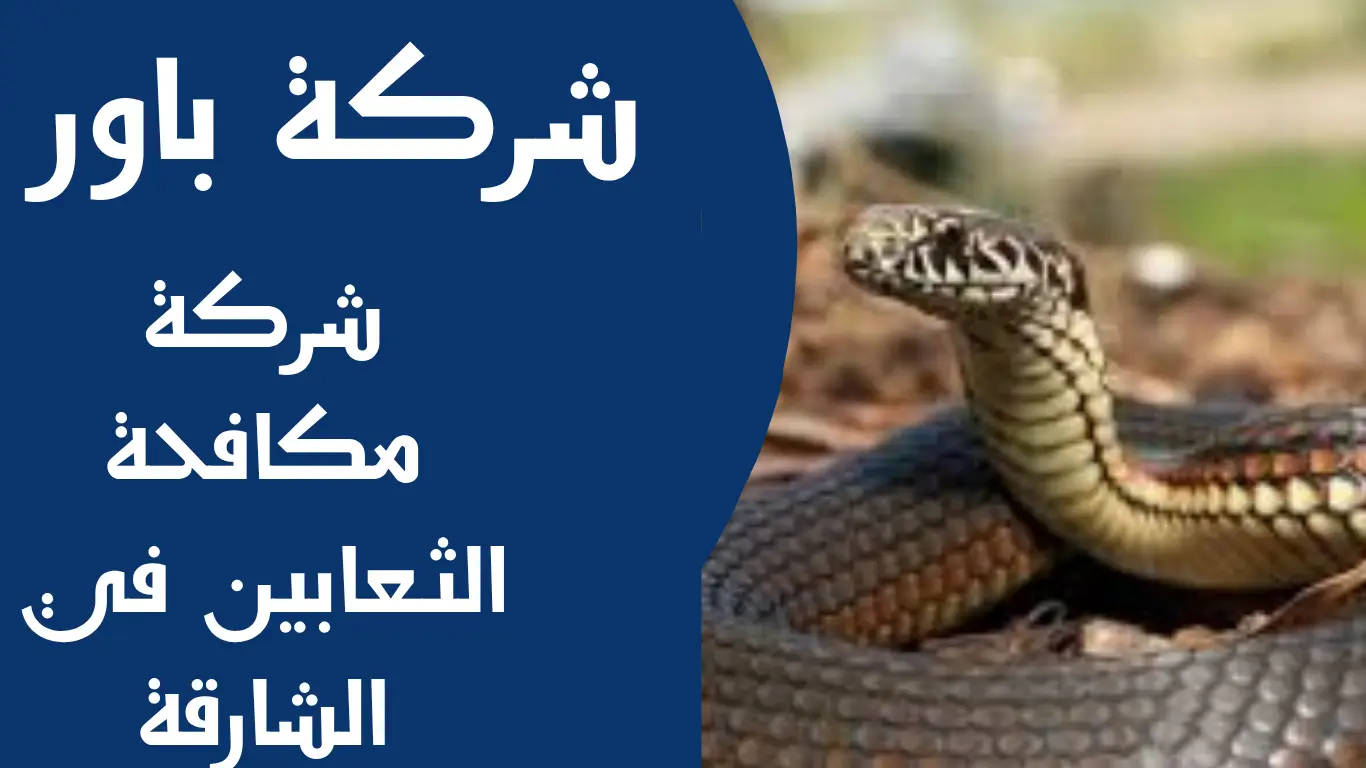 شركة مكافحة الثعابين في الشارقة