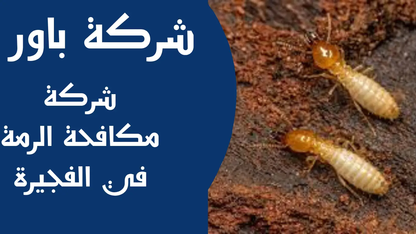 شركة مكافحة الرمة في الفجيرة