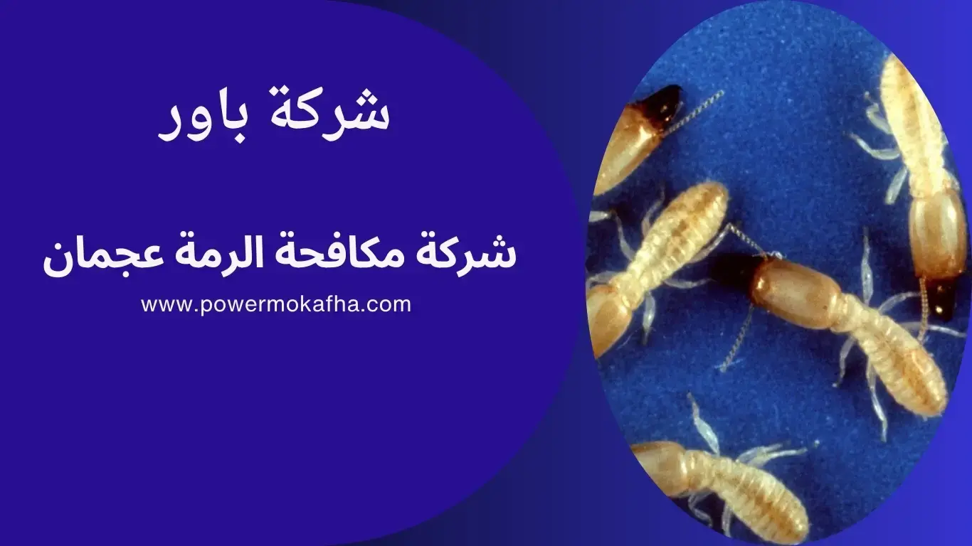 ابادة افات في عجمان ابادة افات في عجمان