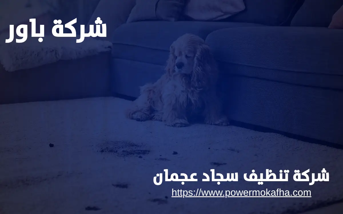 شركة تنظيف سجاد عجمان شركة تنظيف سجاد عجمان