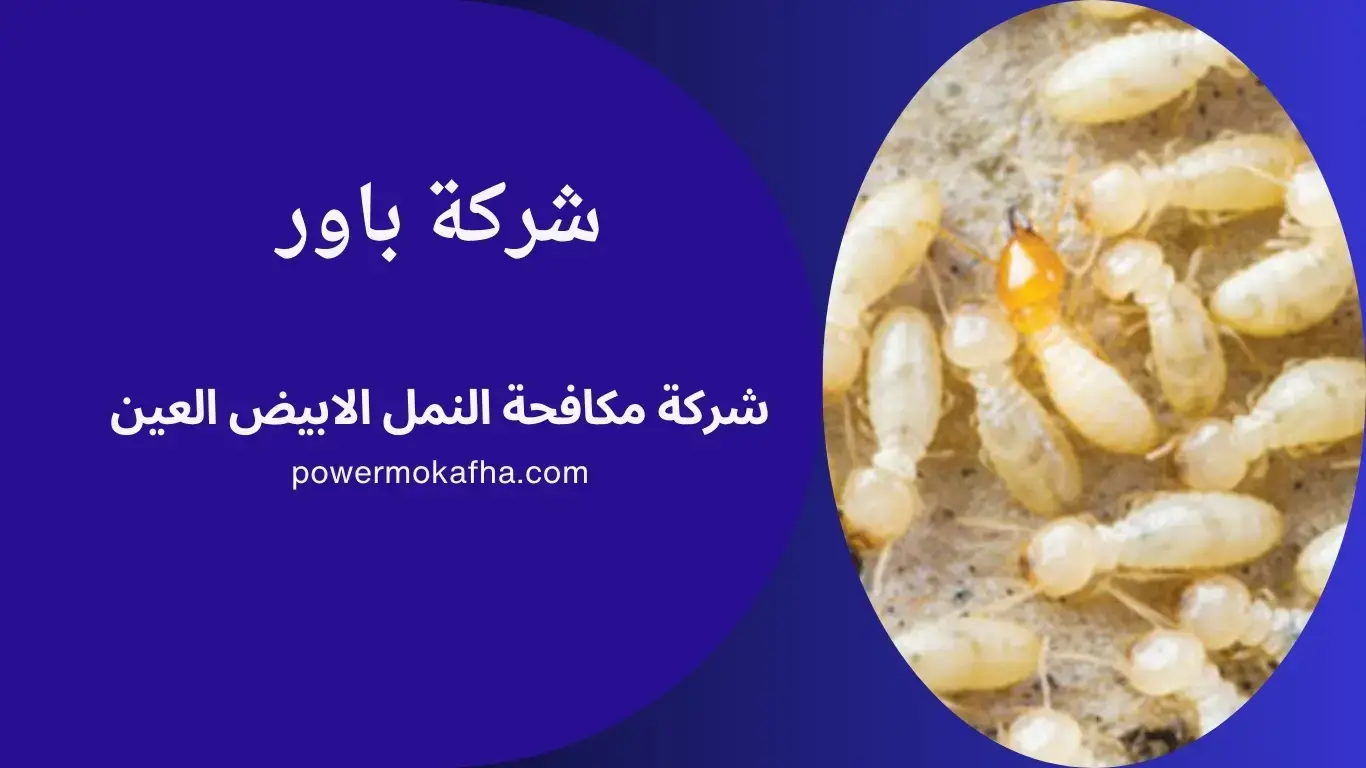 شركة مكافحة الرمة العين