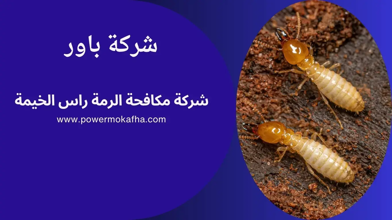 مكافحة زواحف راس الخيمة مكافحة زواحف راس الخيمة