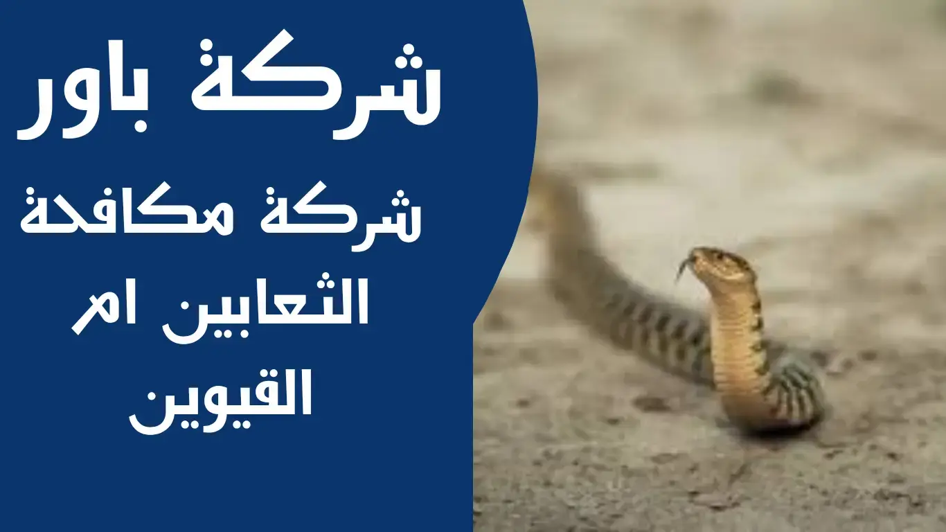 باور (1) شركة مكافحة الثعابين ام القيوين