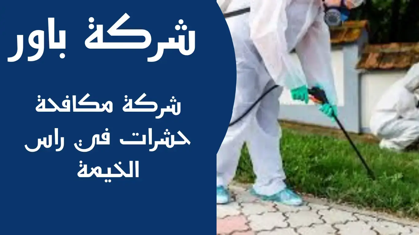 شركة مكافحة حشرات في راس الخيمة شركة مكافحة حشرات في راس الخيمة