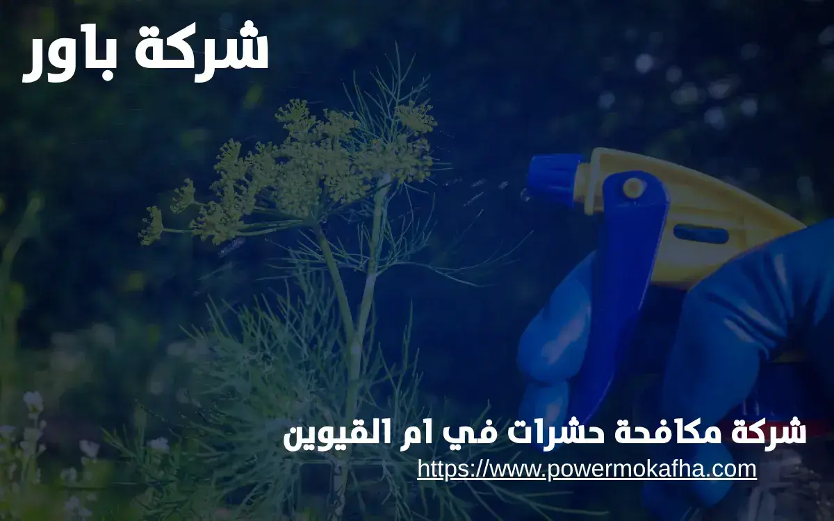 شركة مكافحة حشرات في ام القيوين