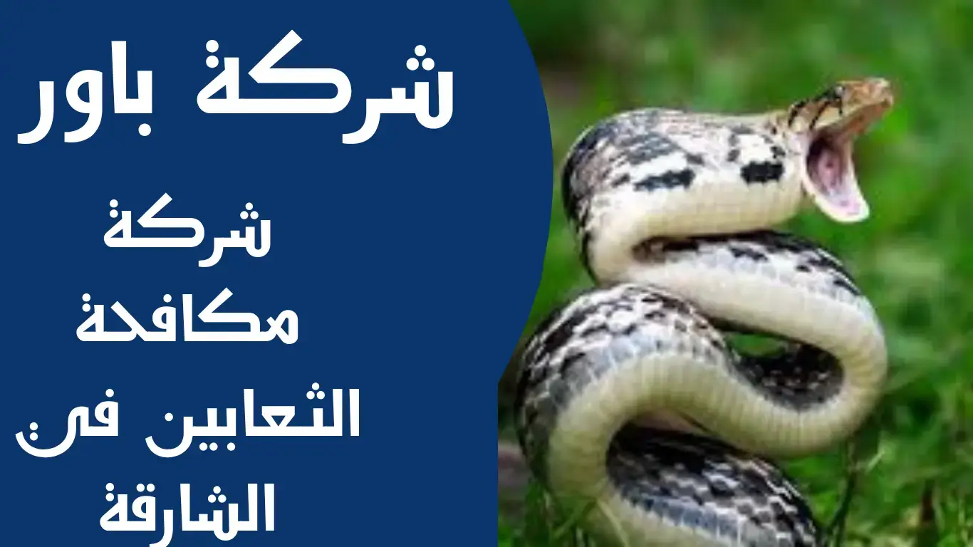شركة مكافحة الثعابين في الشارقة (2) شركة مكافحة الثعابين في الشارقة