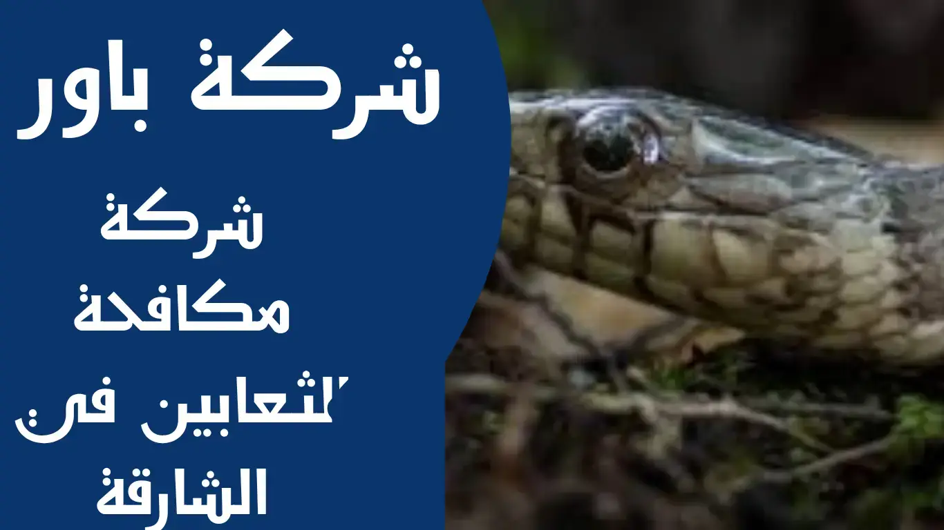 شركة مكافحة الثعابين في الشارقة