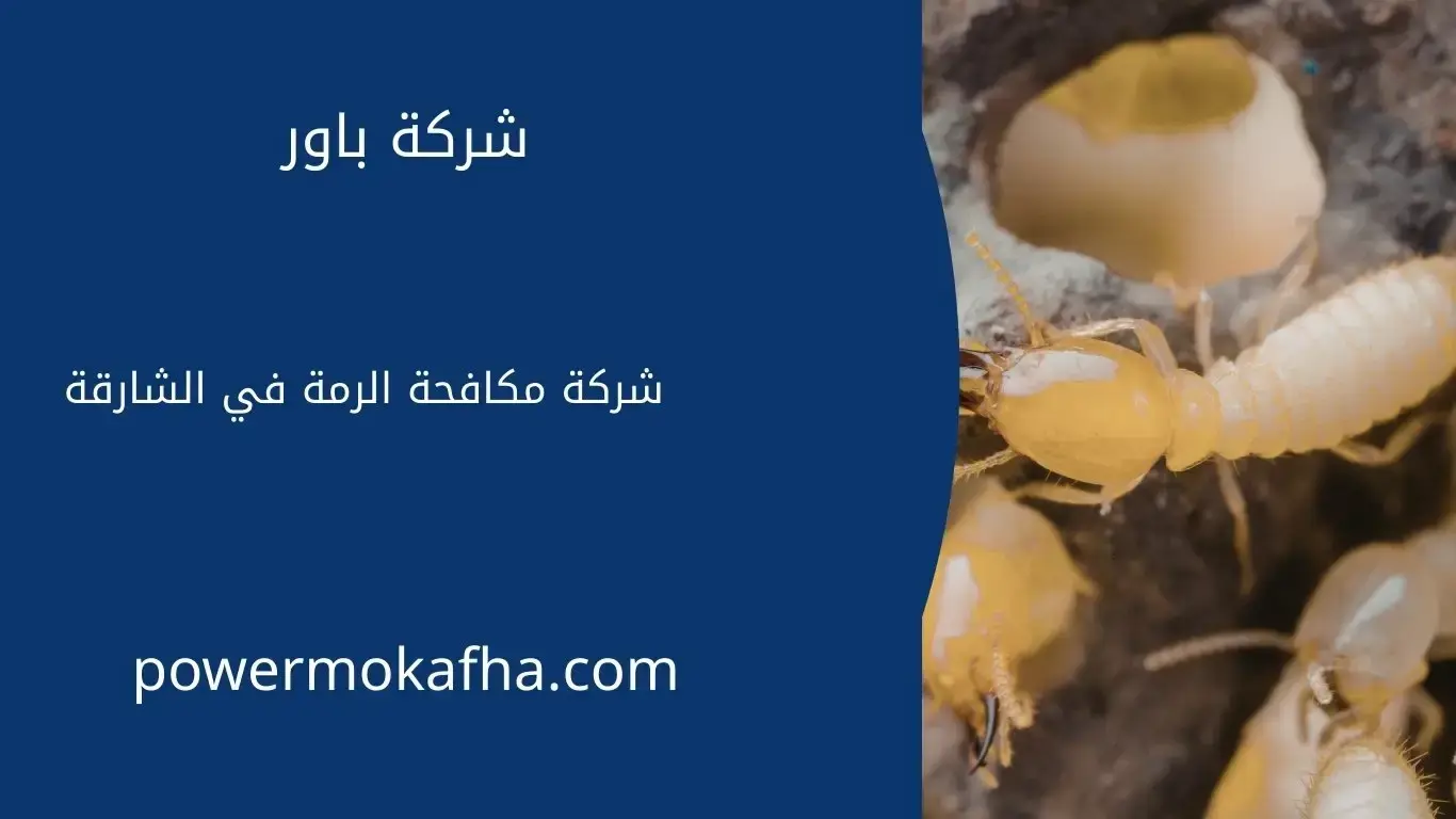شركة مكافحة الرمة الشارقة
